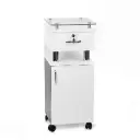 Carrito Auxiliar kali