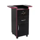 Carrito Auxiliar Rina Rosa