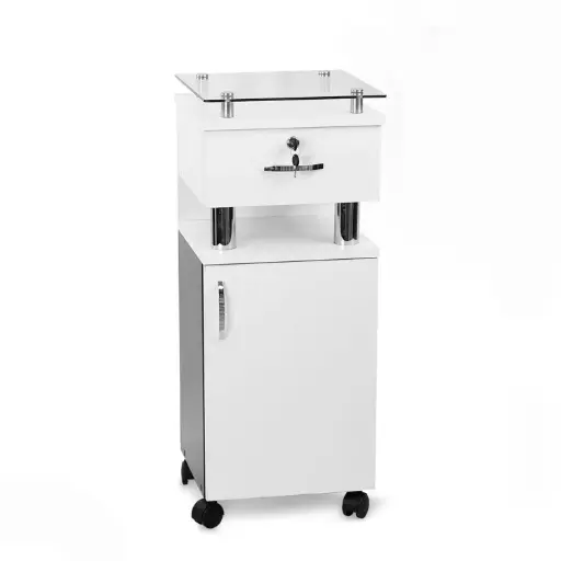 [AUXI243654] Carrito Auxiliar kali